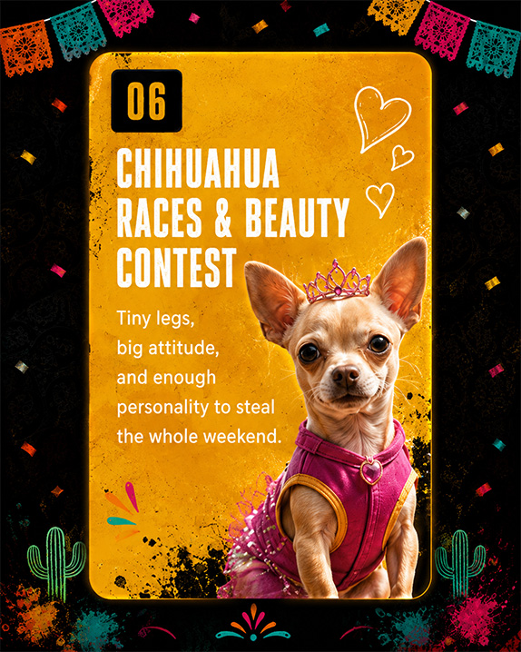 Races Beauty Contest